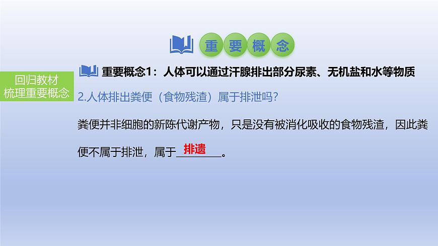 2025年初中生物會考一輪復習課件：第18講 人體內(nèi)廢物的排出第4頁