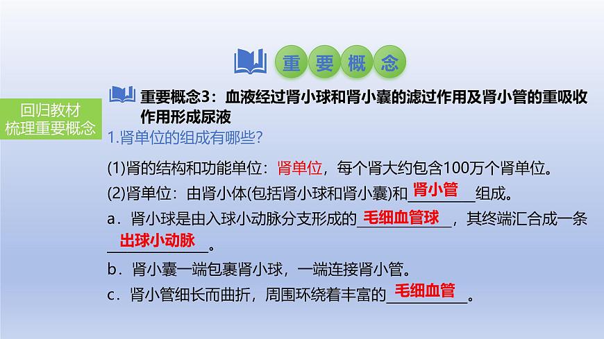 2025年初中生物會考一輪復習課件：第18講 人體內(nèi)廢物的排出第6頁