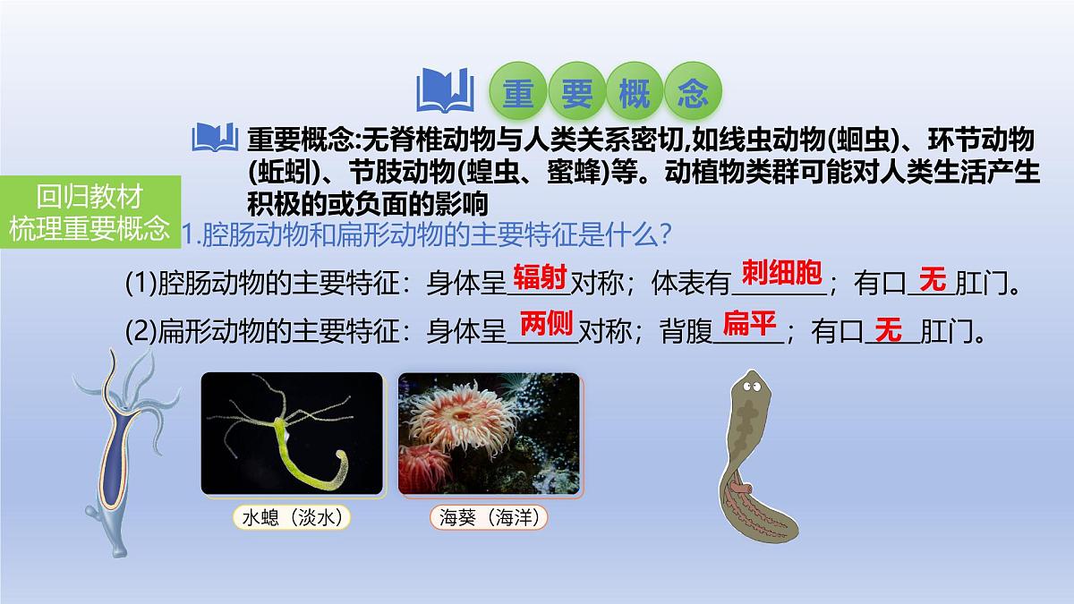 2025年初中生物会考一轮复习课件:第21讲 动物的类群——无脊椎动物第3页