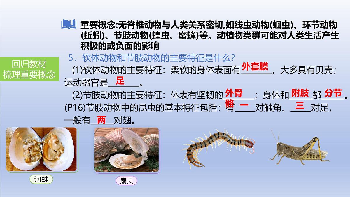 2025年初中生物会考一轮复习课件:第21讲 动物的类群——无脊椎动物第7页