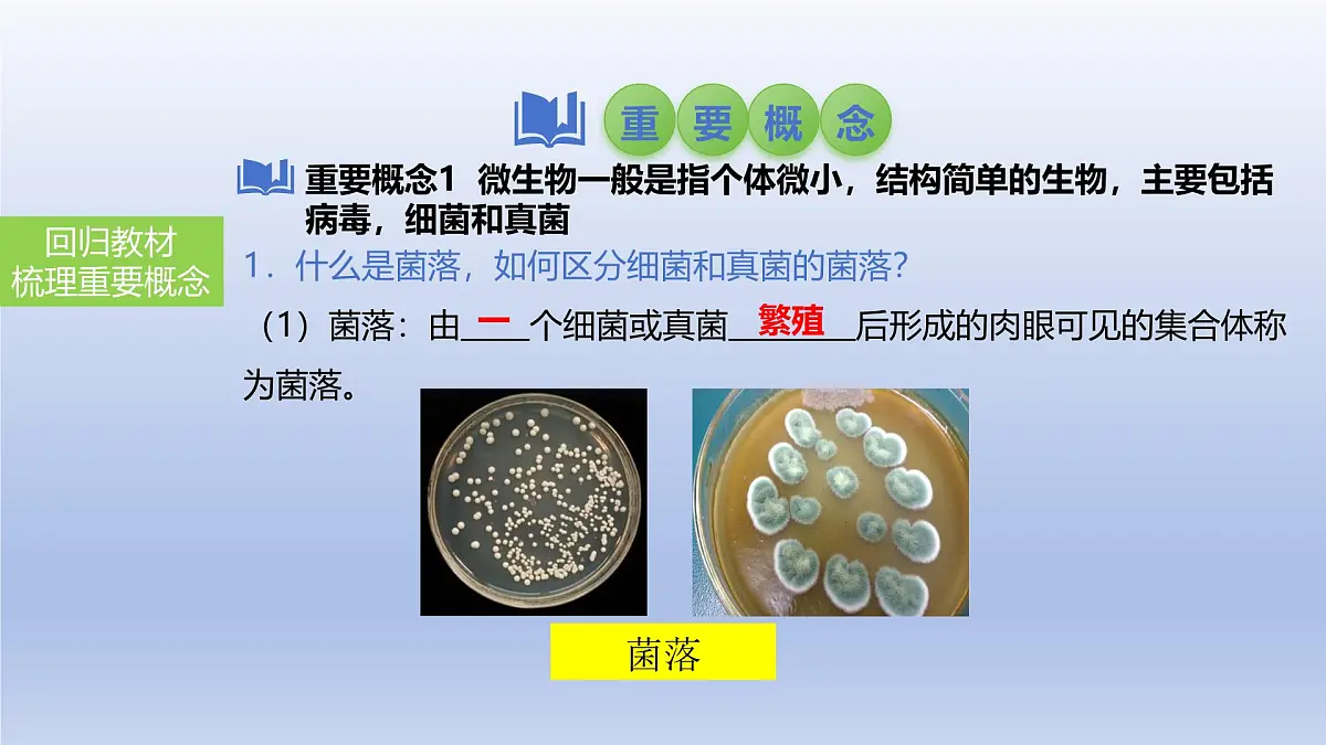 2025年初中生物会考一轮复习课件:第24讲 细菌、真菌和病毒的特征第3页