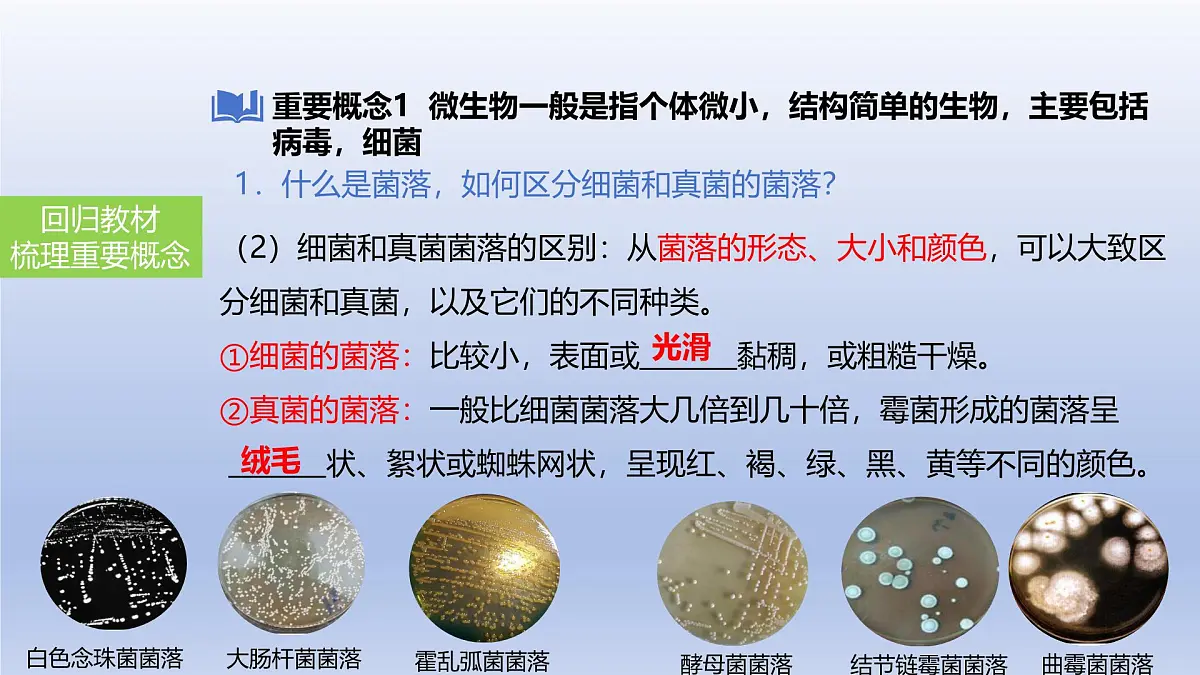 2025年初中生物会考一轮复习课件:第24讲 细菌、真菌和病毒的特征第4页