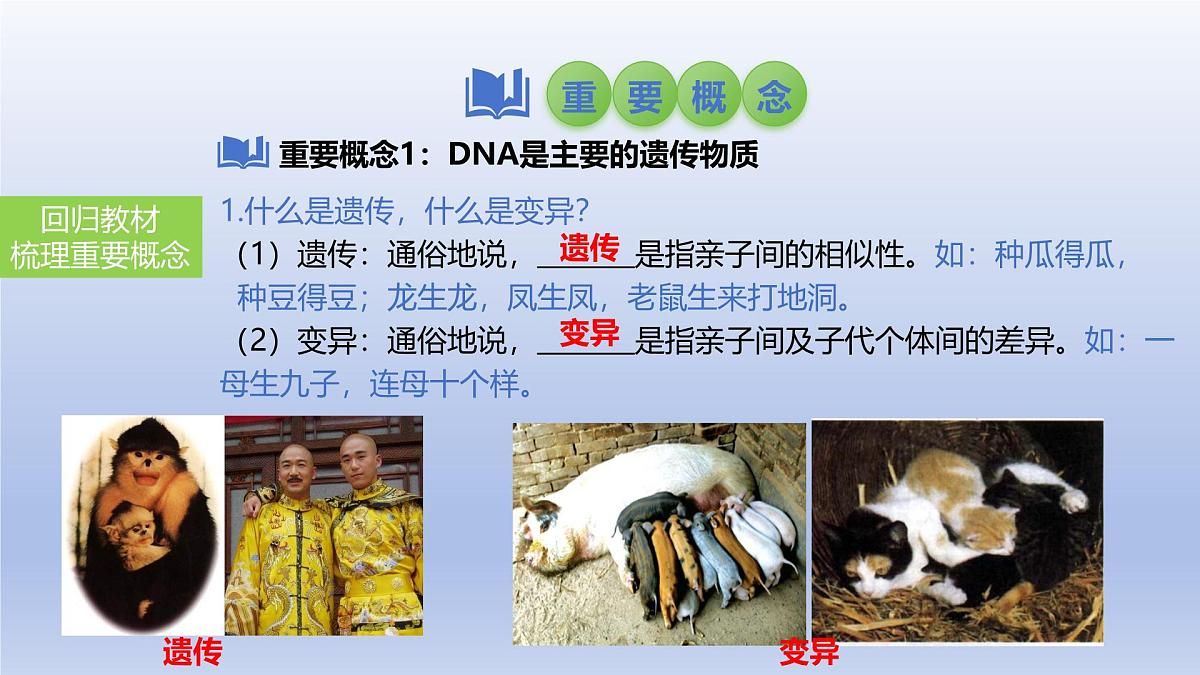 2025年初中生物会考一轮复习课件:第29讲 基因控制生物的性状及在亲子间的传递第4页