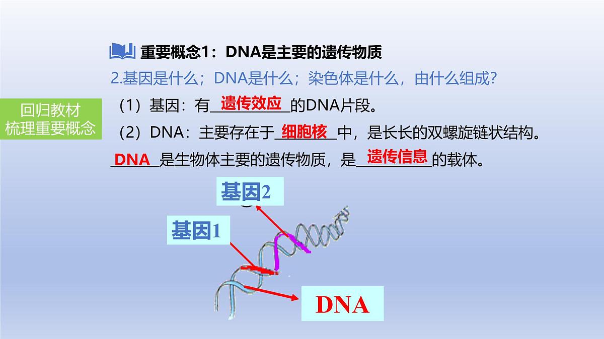 2025年初中生物会考一轮复习课件:第29讲 基因控制生物的性状及在亲子间的传递第5页