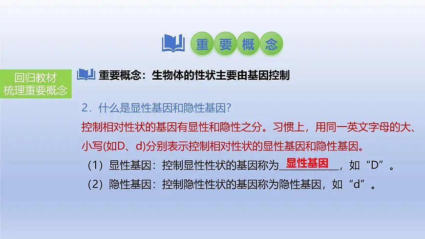 2025年初中生物会考一轮复习课件:第30讲 基因的显性与隐性第6页