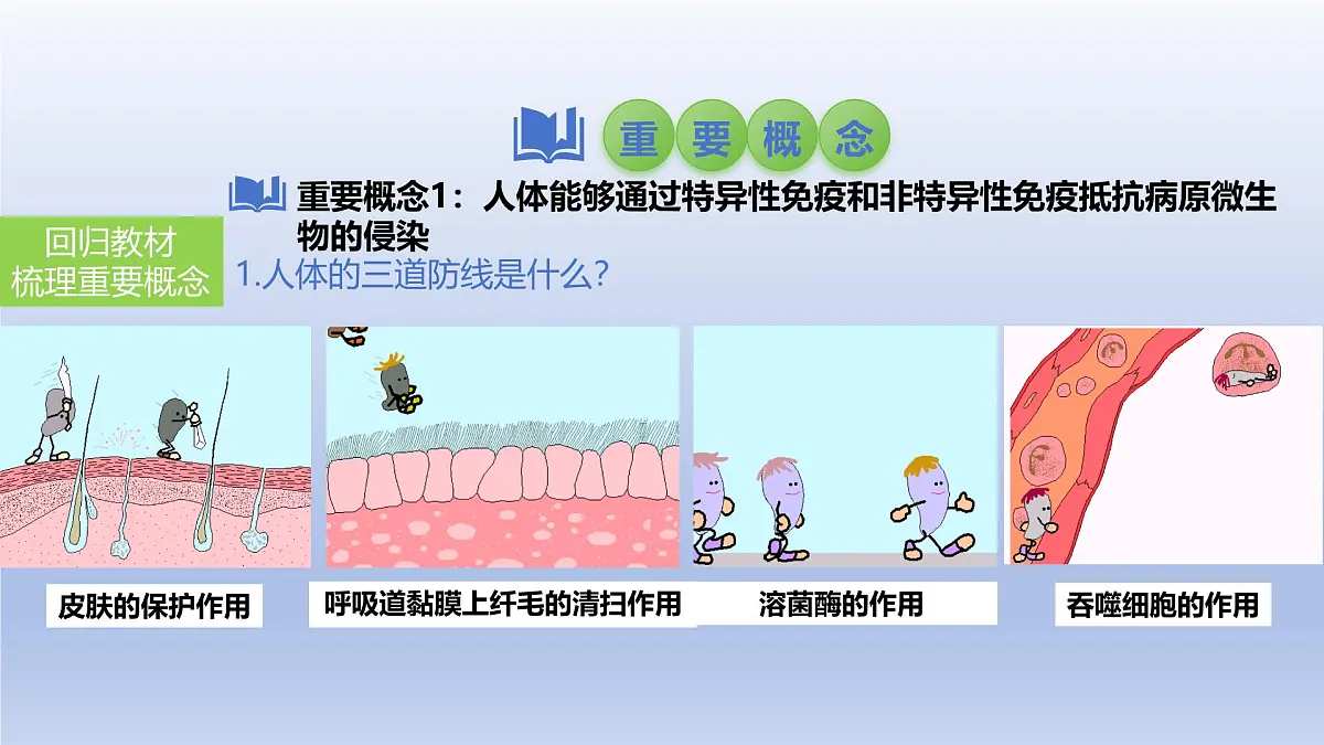 2025年初中生物会考一轮复习课件:第34讲 免疫与计划免疫第4页