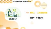 题型01 识图分析（二轮突破课件）2025年中考生物二轮复习讲练测（湖南专用）
