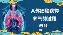 4.8.2 人体细胞获得氧气的过程（课时2）課件