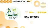 主题六 遗传与进化（二轮突破课件）2025年中考生物二轮复习讲练测（江苏专用）