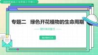 【复习课件】专题02 绿色开花植物的生命周期 2025学年七年级生物下学期期中考点大串讲教版