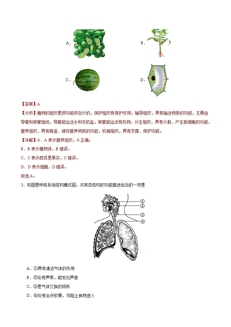 2025年中考第二次模拟考试卷:生物(内蒙古卷)(解析版)第2页