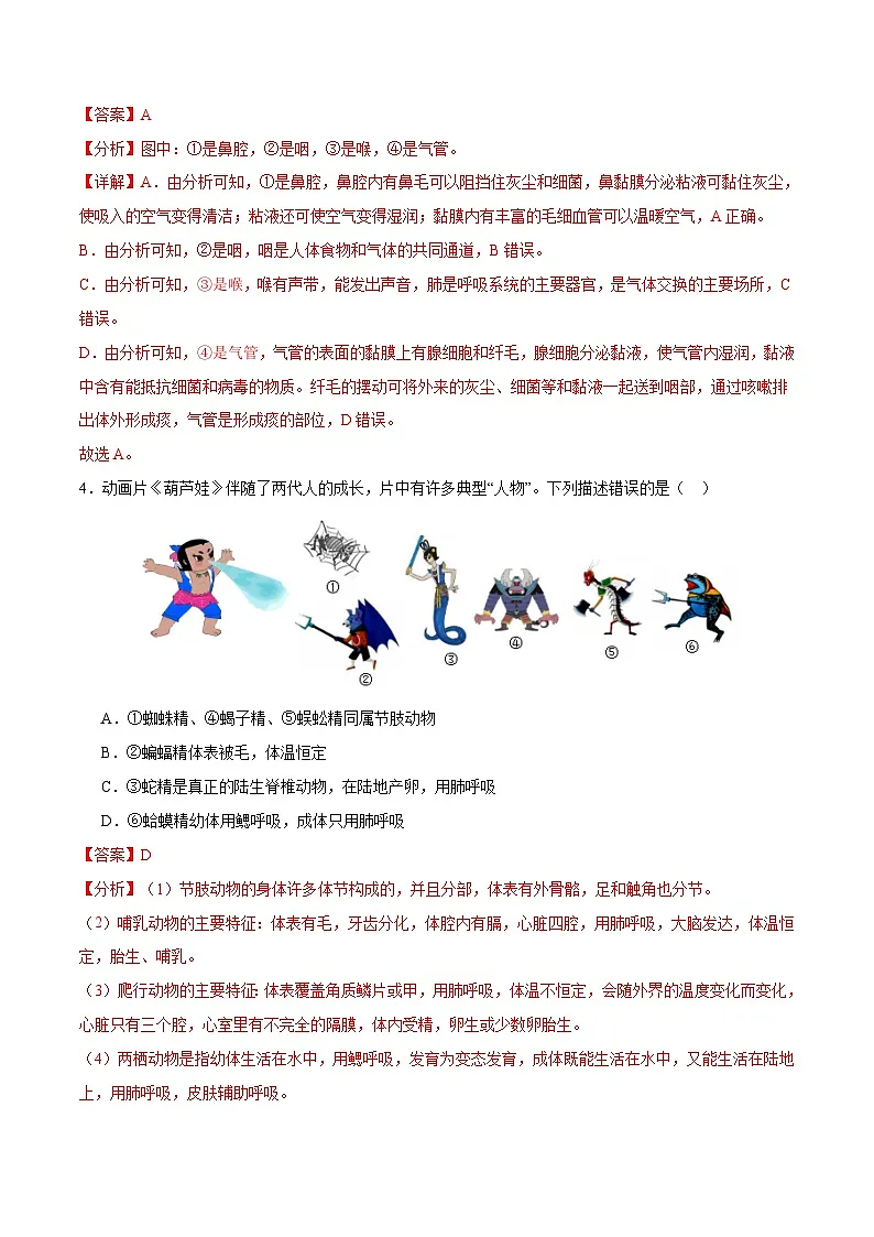 2025年中考第二次模拟考试卷:生物(内蒙古卷)(解析版)第3页