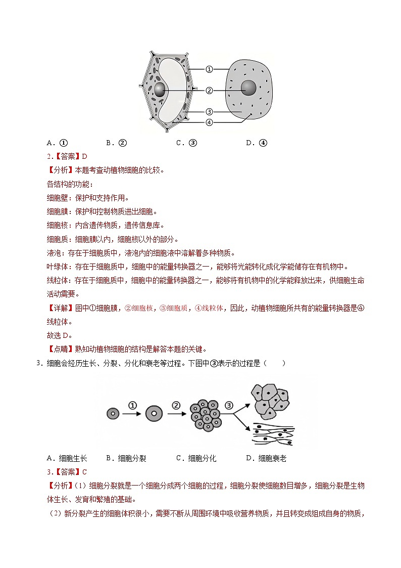 2025年中考第二次模拟考试卷:生物(成都卷)(解析版)第2页