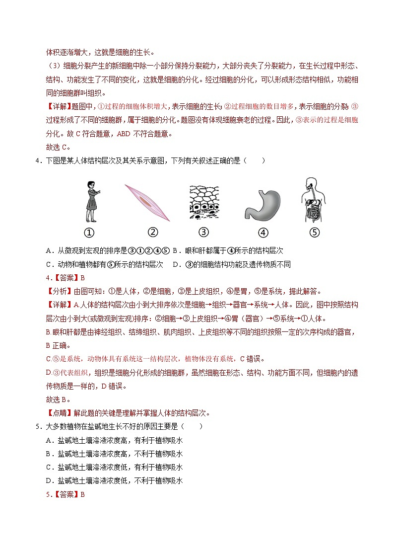 2025年中考第二次模拟考试卷:生物(成都卷)(解析版)第3页