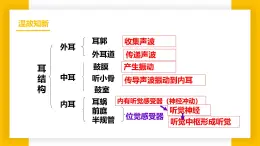 3.5.4運(yùn)動的完成  七年級生物下冊教學(xué)課件（冀少版2024）