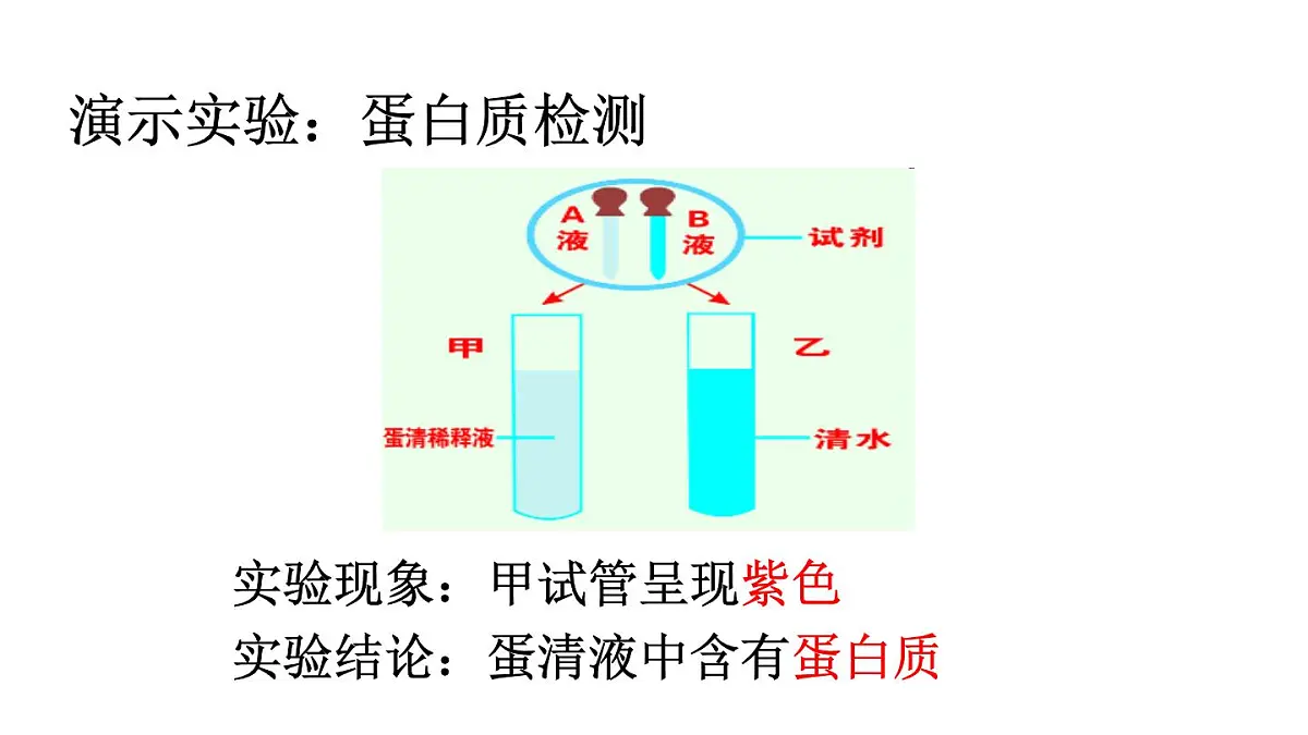 2024-2025学年北师大版生物七年级下册 4.6.1 人类的食物 课件第6页