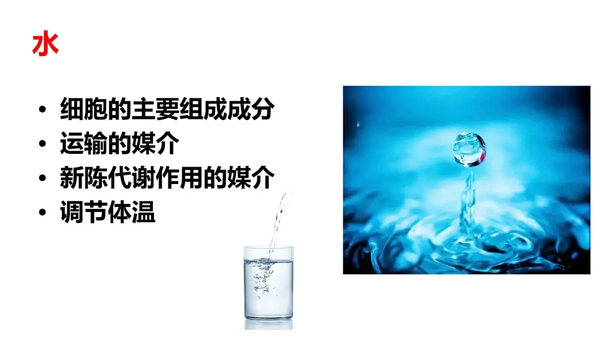 2024-2025学年北师大版生物七年级下册 4.6.1 人类的食物 课件第8页
