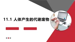 2024-2025学年北师大版生物七年级下册 4.9.1 人体产生的代谢废物 (2) 課件