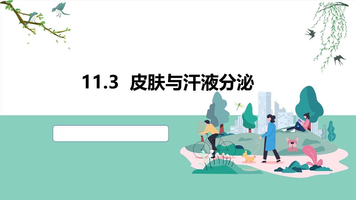 2024-2025学年北师大版生物七年级下册 4.9.3 皮肤与汗液分泌 课件第1页