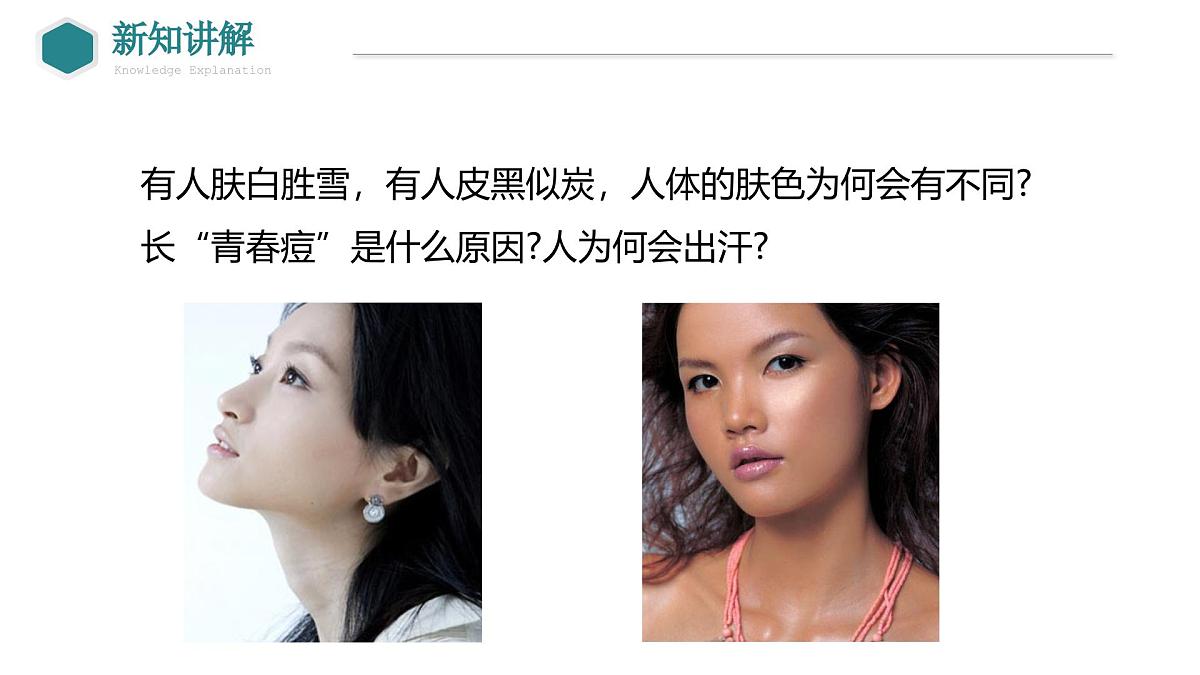 2024-2025学年北师大版生物七年级下册 4.9.3 皮肤与汗液分泌 课件第3页