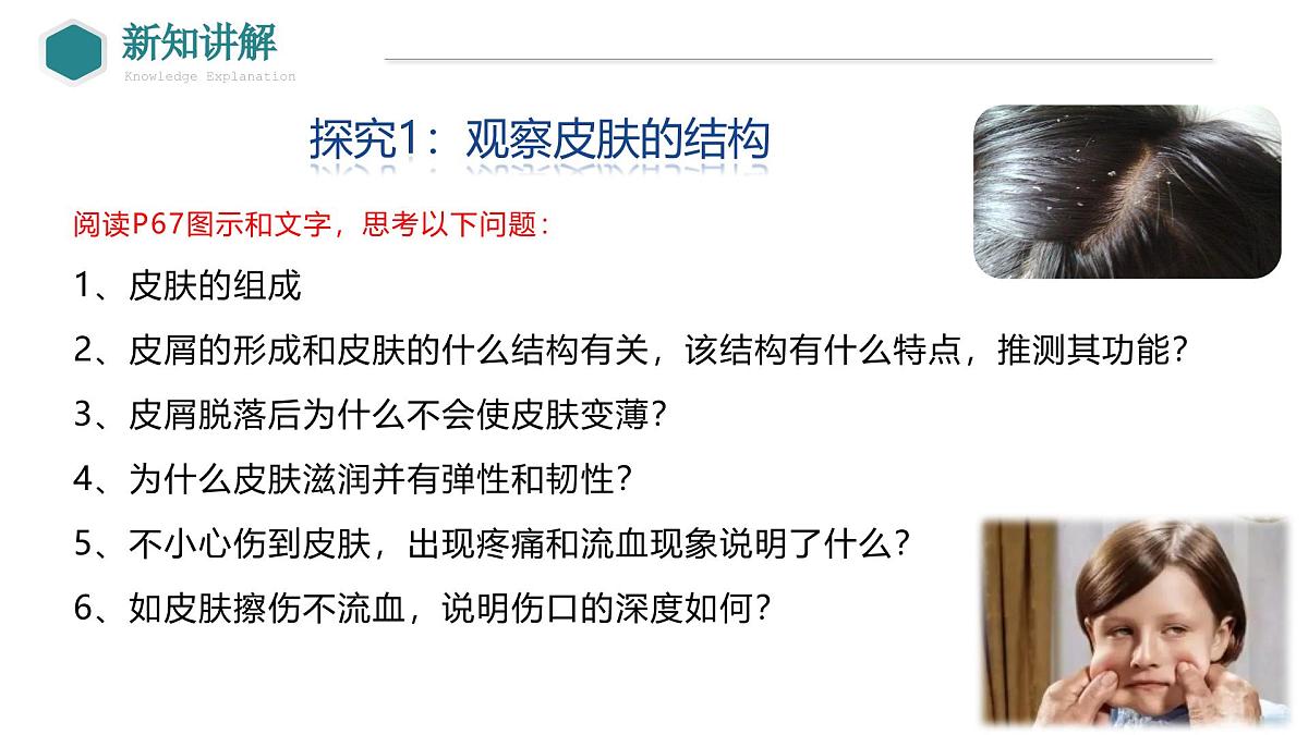 2024-2025学年北师大版生物七年级下册 4.9.3 皮肤与汗液分泌 课件第5页