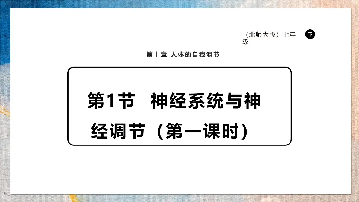 2024-2025学年北师大版生物七年级下册 4.10.1.1神经系统与神经调节(第一课时) 课件第1页