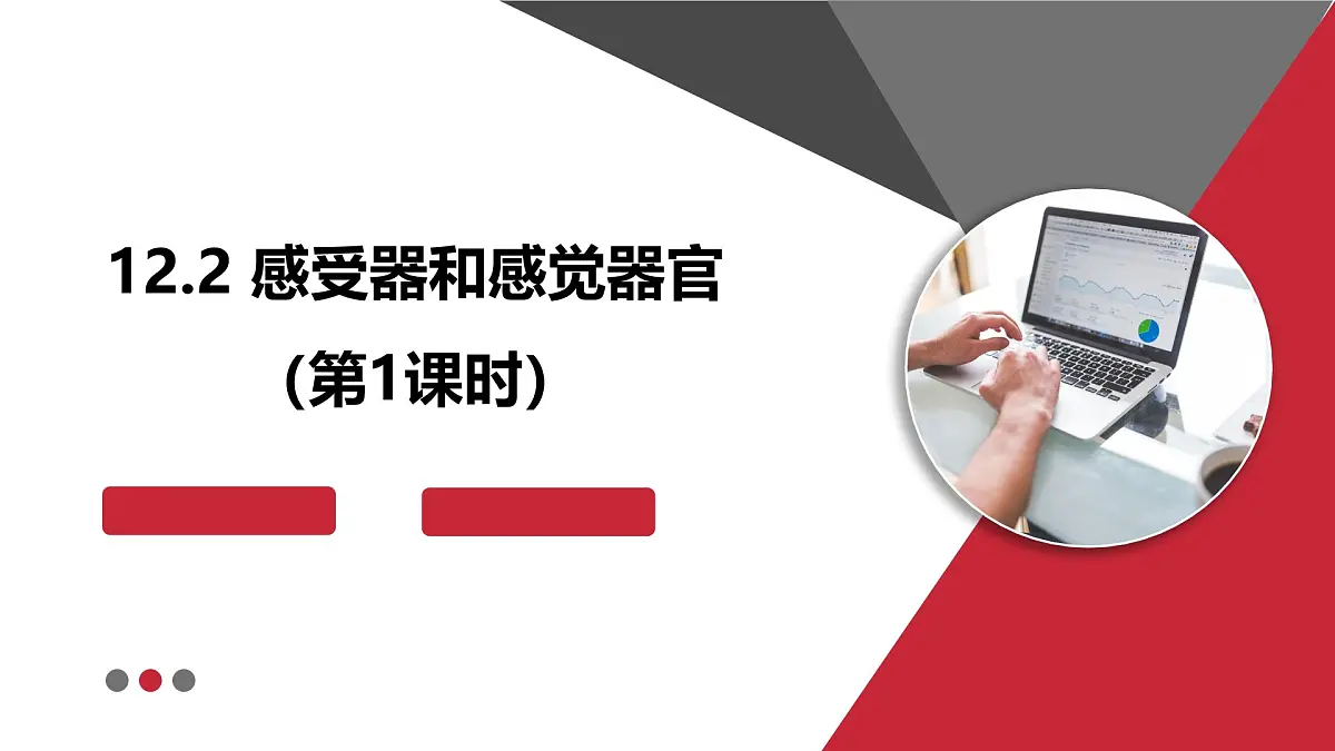 2024-2025学年北师大版生物七年级下册 4.10.2 感受器和感觉器官(第一课时) 课件第1页