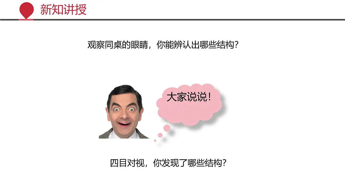 2024-2025学年北师大版生物七年级下册 4.10.2 感受器和感觉器官(第一课时) 课件第5页