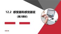 初中感受器和感觉器官图文ppt课件