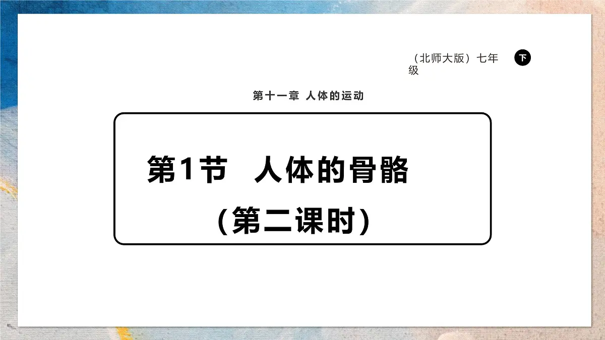 2024-2025学年北师大版生物七年级下册 4.11.1人体的骨骼(第二课时) 课件第1页
