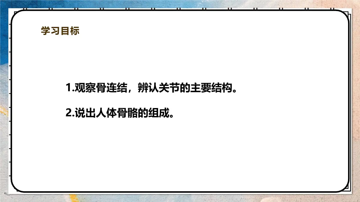 2024-2025学年北师大版生物七年级下册 4.11.1人体的骨骼(第二课时) 课件第2页