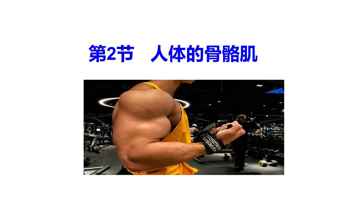 2024-2025学年北师大版生物七年级下册 4.11.2 人体的骨骼肌 课件第1页