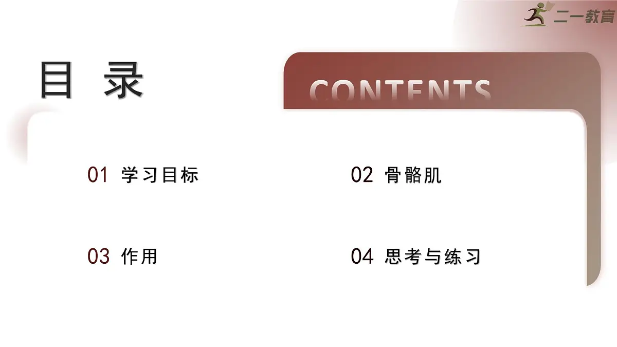 2024-2025学年北师大版生物七年级下册 4.11.2 人体的骨骼肌 课件第2页