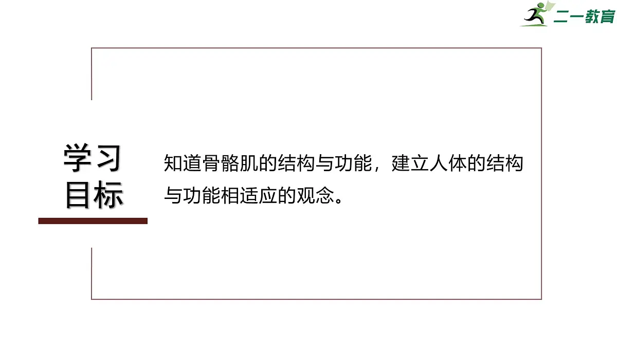 2024-2025学年北师大版生物七年级下册 4.11.2 人体的骨骼肌 课件第3页