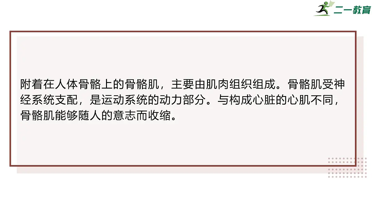 2024-2025学年北师大版生物七年级下册 4.11.2 人体的骨骼肌 课件第4页