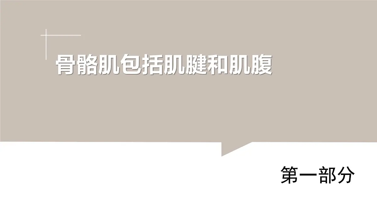 2024-2025学年北师大版生物七年级下册 4.11.2 人体的骨骼肌 课件第5页