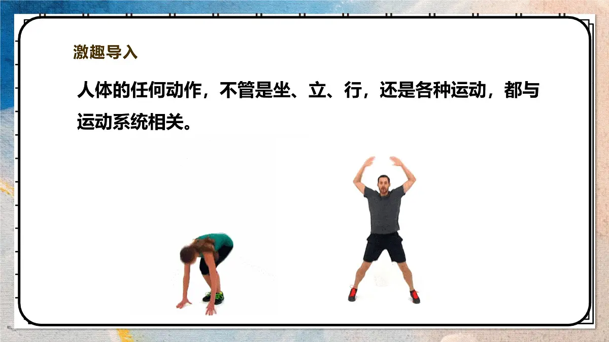 2024-2025学年北师大版生物七年级下册 4.11.3 运动的形成 课件第3页