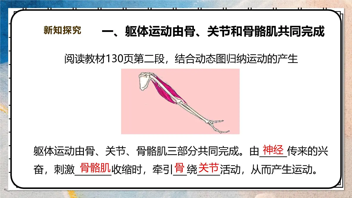 2024-2025学年北师大版生物七年级下册 4.11.3 运动的形成 课件第5页