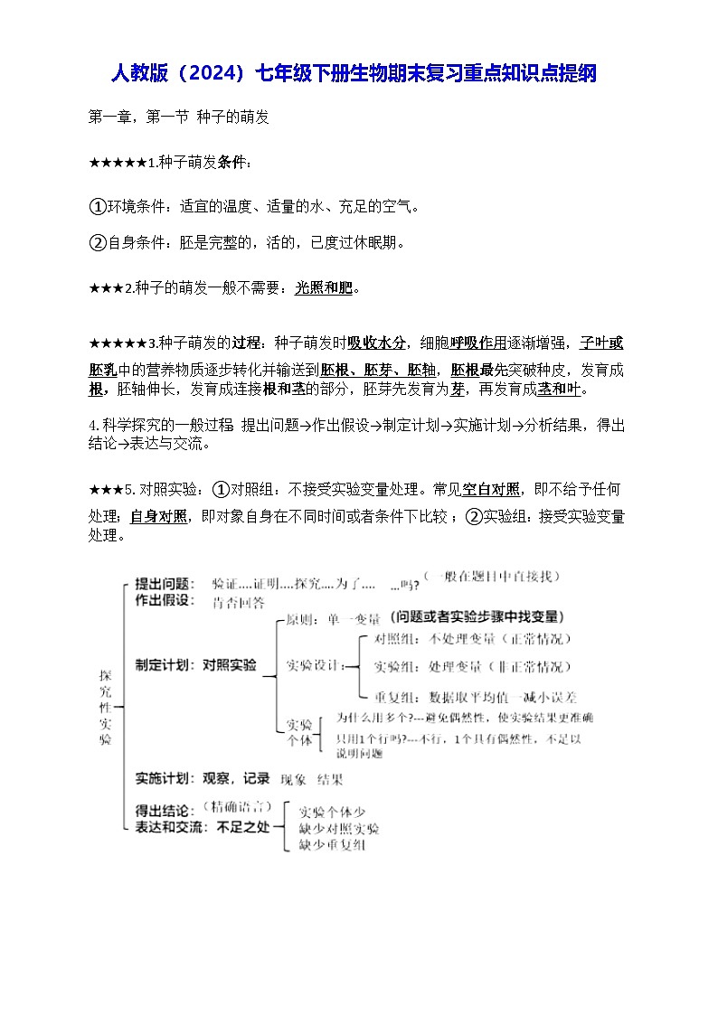 人教版(2024)七年级下册生物期末复习重点知识点提纲 学案第1页