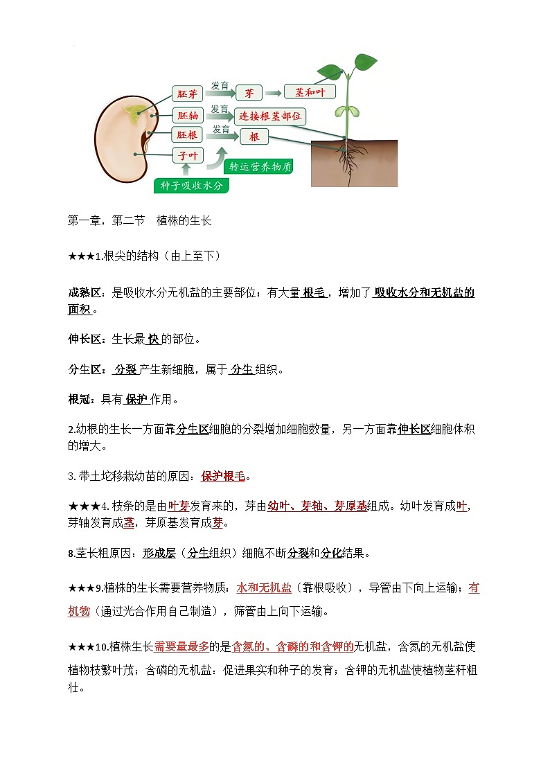 人教版(2024)七年级下册生物期末复习重点知识点提纲 学案第2页