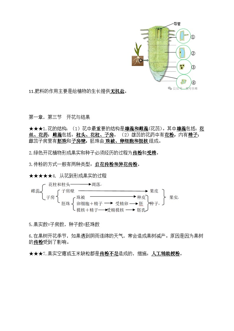 人教版(2024)七年级下册生物期末复习重点知识点提纲 学案第3页