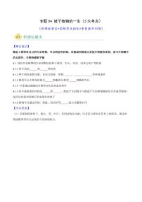 专题04 被子植物的一生(3大高频考点)-2025年中考生物题型归纳练习试题（含答案）