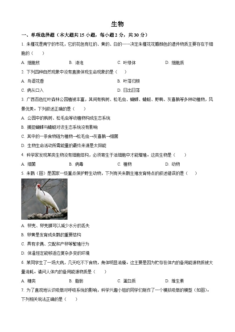 2025年广西桂林市第十八中学八年级中考一模生物试题(原卷版+解析版)第1页