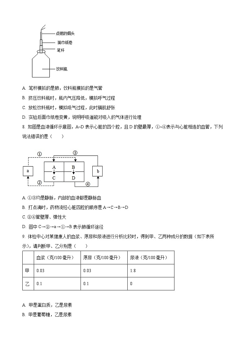 2025年广西桂林市第十八中学八年级中考一模生物试题(原卷版+解析版)第2页