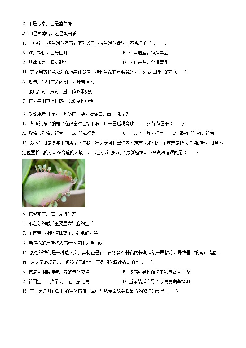 2025年广西桂林市第十八中学八年级中考一模生物试题(原卷版+解析版)第3页