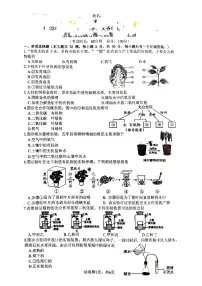 福建省厦门市同安区2024-2025学年七年级下生物期中试卷