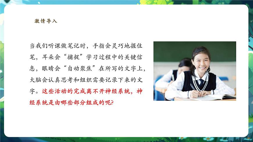 【核心素養(yǎng)】3.5.1神經(jīng)系統(tǒng)的組成 課件+視頻素材第4頁