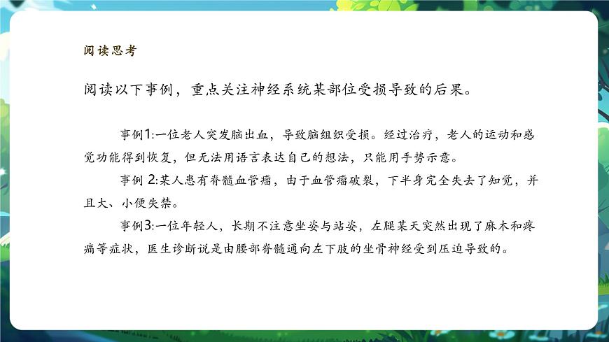 【核心素養(yǎng)】3.5.1神經(jīng)系統(tǒng)的組成 課件+視頻素材第5頁