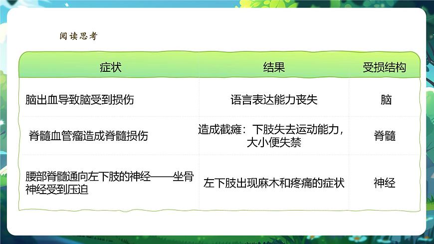 【核心素養(yǎng)】3.5.1神經(jīng)系統(tǒng)的組成 課件+視頻素材第7頁