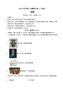 2025年中考第二次模拟考试卷：生物（广西卷）（考试版）